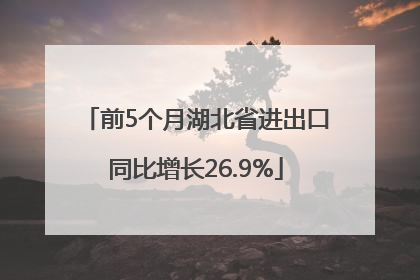 前5个月湖北省进出口同比增长26.9%