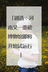 剧透：河南又一重磅博物馆即将开馆试运行