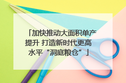 加快推动大面积单产提升 打造新时代更高水平“洞庭粮仓”