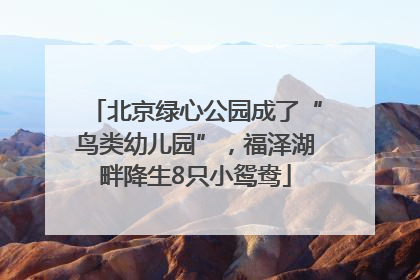 北京绿心公园成了“鸟类幼儿园”，福泽湖畔降生8只小鸳鸯