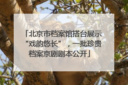 北京市档案馆搭台展示“戏韵悠长”，一批珍贵档案京剧剧本公开