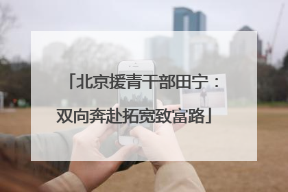 北京援青干部田宁：双向奔赴拓宽致富路