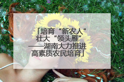 培育“新农人” 壮大“领头雁”——湖南大力推进高素质农民培育