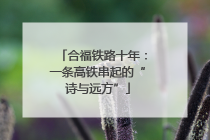 合福铁路十年：一条高铁串起的“诗与远方”