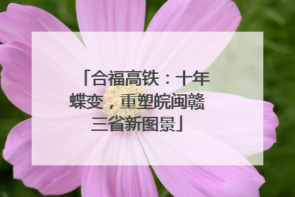 合福高铁：十年蝶变，重塑皖闽赣三省新图景