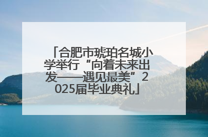合肥市琥珀名城小学举行“向着未来出发——遇见最美”2025届毕业典礼
