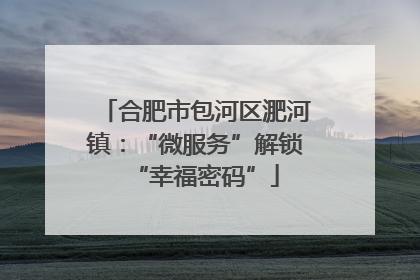 合肥市包河区淝河镇：“微服务”解锁“幸福密码”