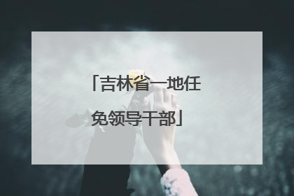 吉林省一地任免领导干部