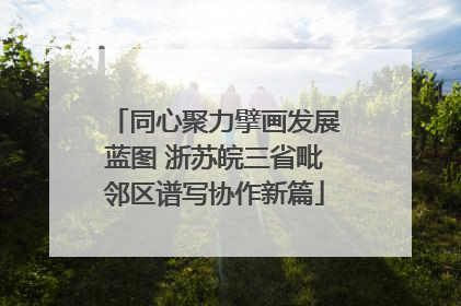 同心聚力擘画发展蓝图 浙苏皖三省毗邻区谱写协作新篇