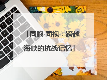 同胞·同袍：跨越海峡的抗战记忆
