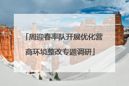 周迎春率队开展优化营商环境整改专题调研