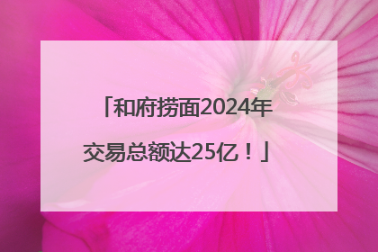 和府捞面2024年交易总额达25亿！