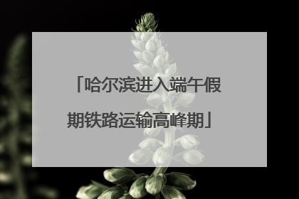 哈尔滨进入端午假期铁路运输高峰期
