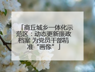 商丘城乡一体化示范区：动态更新廉政档案 为党员干部精准“画像”