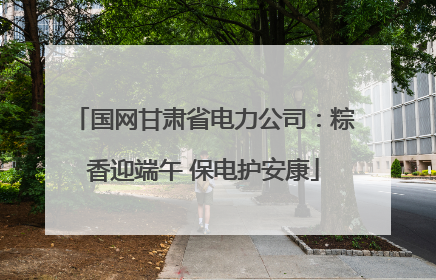 国网甘肃省电力公司：粽香迎端午 保电护安康