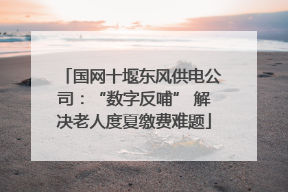 国网十堰东风供电公司：“数字反哺” 解决老人度夏缴费难题