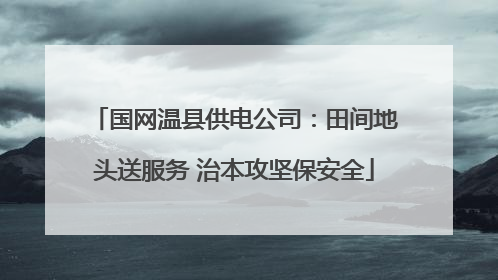 国网温县供电公司：田间地头送服务 治本攻坚保安全