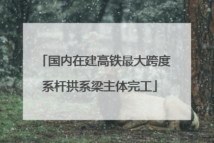 国内在建高铁最大跨度系杆拱系梁主体完工