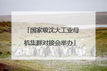 国家级沈大工业母机集群对接会举办