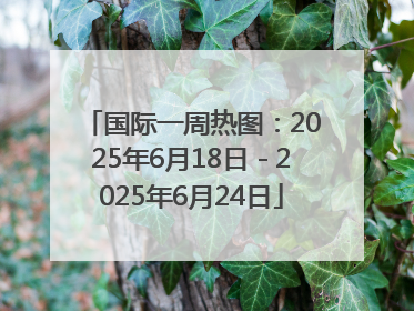 国际一周热图：2025年6月18日－2025年6月24日