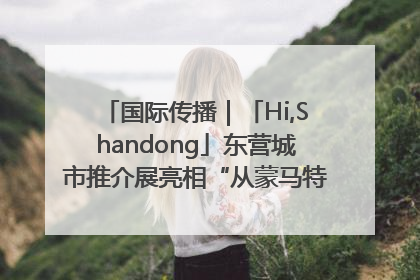 国际传播｜「Hi,Shandong」东营城市推介展亮相“从蒙马特到加里波第”文化节