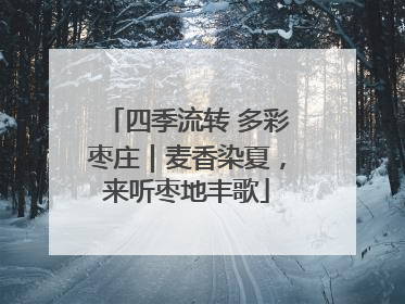 四季流转 多彩枣庄｜麦香染夏，来听枣地丰歌