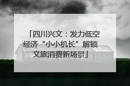 四川兴文：发力低空经济“小小机长”解锁文旅消费新场景