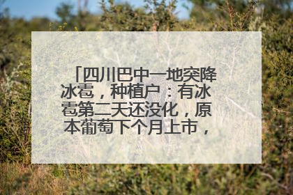 四川巴中一地突降冰雹，种植户：有冰雹第二天还没化，原本葡萄下个月上市，现在全被打落