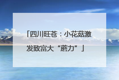 四川旺苍：小花菇激发致富大“蘑力”