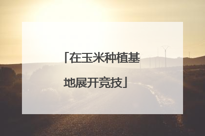 在玉米种植基地展开竞技