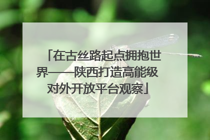 在古丝路起点拥抱世界——陕西打造高能级对外开放平台观察