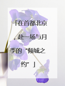 在首都北京，赴一场与月季的“倾城之约”
