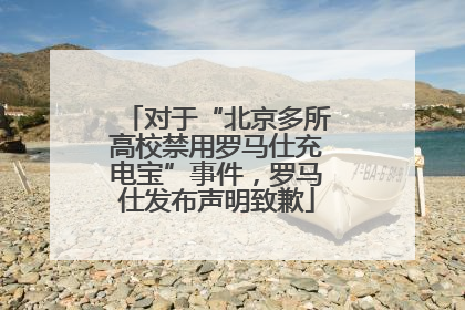 对于“北京多所高校禁用罗马仕充电宝”事件，罗马仕发布声明致歉