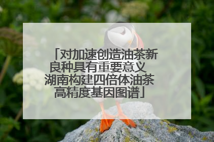 对加速创造油茶新良种具有重要意义 湖南构建四倍体油茶高精度基因图谱
