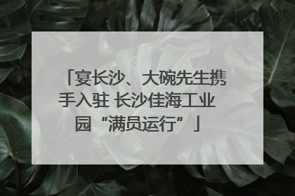 宴长沙、大碗先生携手入驻 长沙佳海工业园“满员运行”