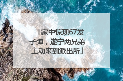 家中惊现67发子弹，遂宁两兄弟主动来到派出所