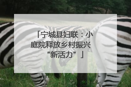 宁城县妇联：小庭院释放乡村振兴“新活力”