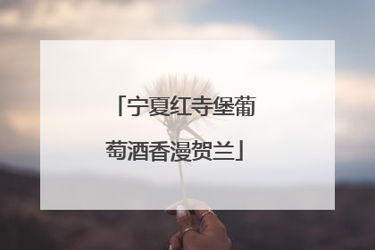 宁夏红寺堡葡萄酒香漫贺兰