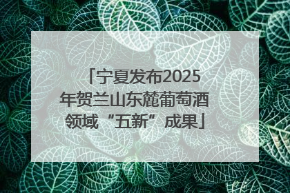 宁夏发布2025年贺兰山东麓葡萄酒领域“五新”成果
