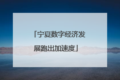 宁夏数字经济发展跑出加速度
