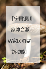 宁夏银川 家博会激活家居消费新动能