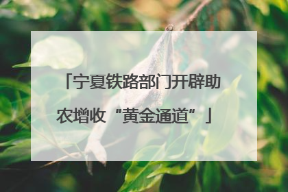 宁夏铁路部门开辟助农增收“黄金通道”