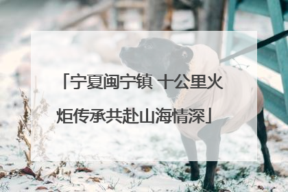 宁夏闽宁镇 十公里火炬传承共赴山海情深
