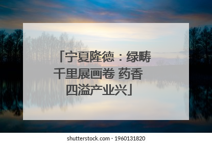 宁夏隆德：绿畴千里展画卷 药香四溢产业兴