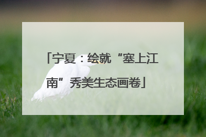 宁夏：绘就“塞上江南”秀美生态画卷