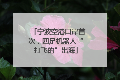 宁波空港口岸首次，四足机器人“打飞的”出海