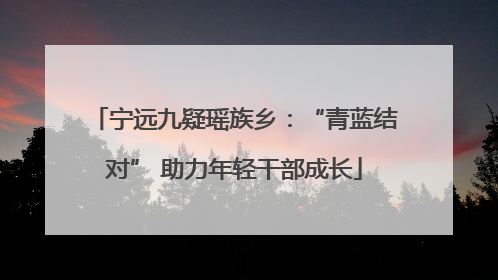 宁远九疑瑶族乡：“青蓝结对” 助力年轻干部成长