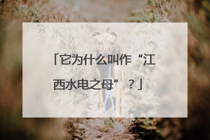 它为什么叫作“江西水电之母”？