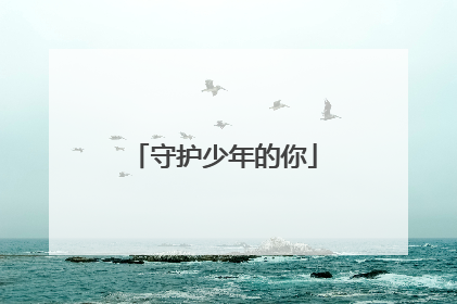 守护少年的你