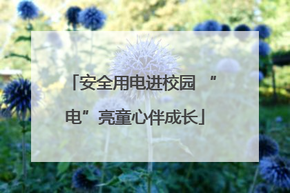 安全用电进校园 “电”亮童心伴成长